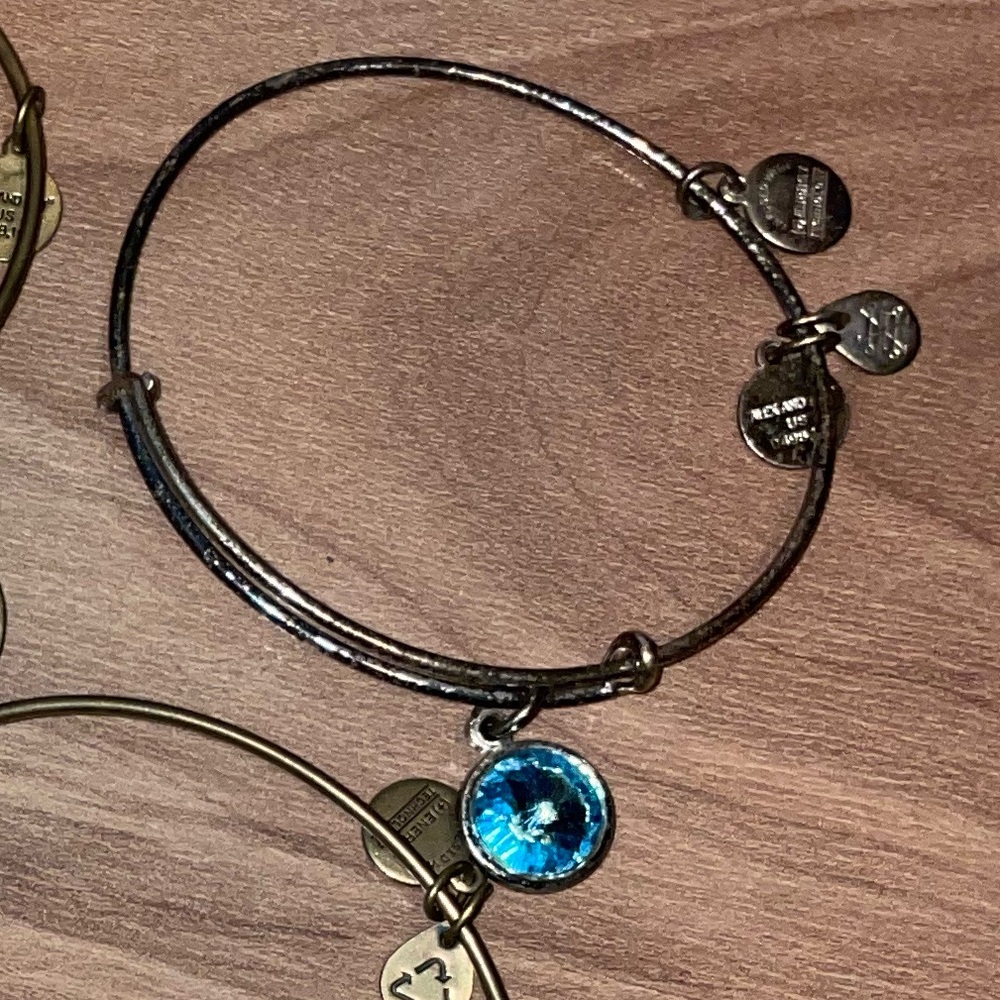 Alex and Ani March Birthstone Charm Bangle, Aquamarine SILVER Bracelet - Picture 6 of 6
